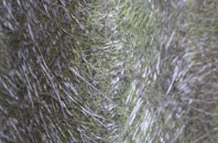 Constantine Bay fibreglass roof work